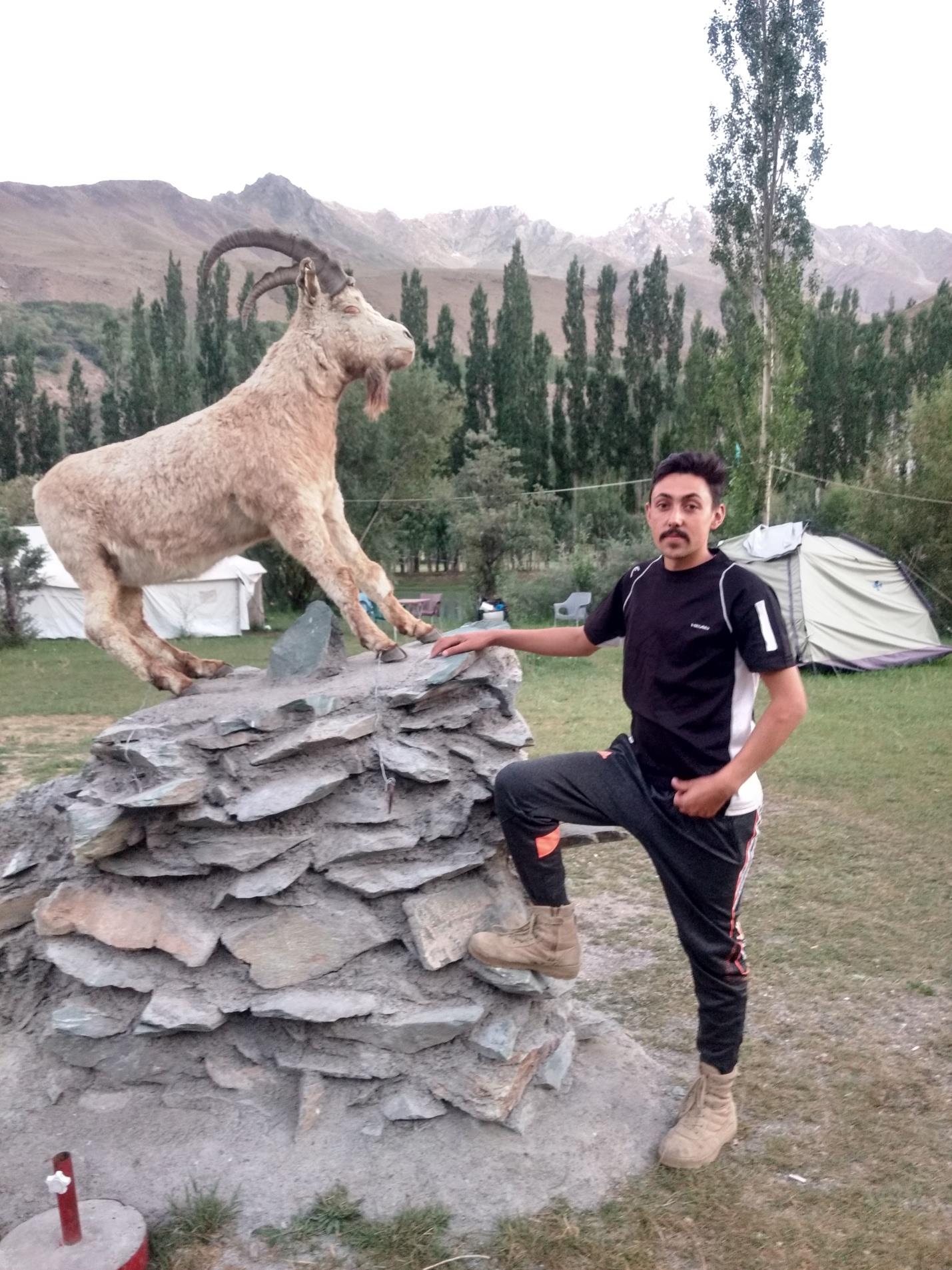 Himalayan Ibex statue at Phandar Valley